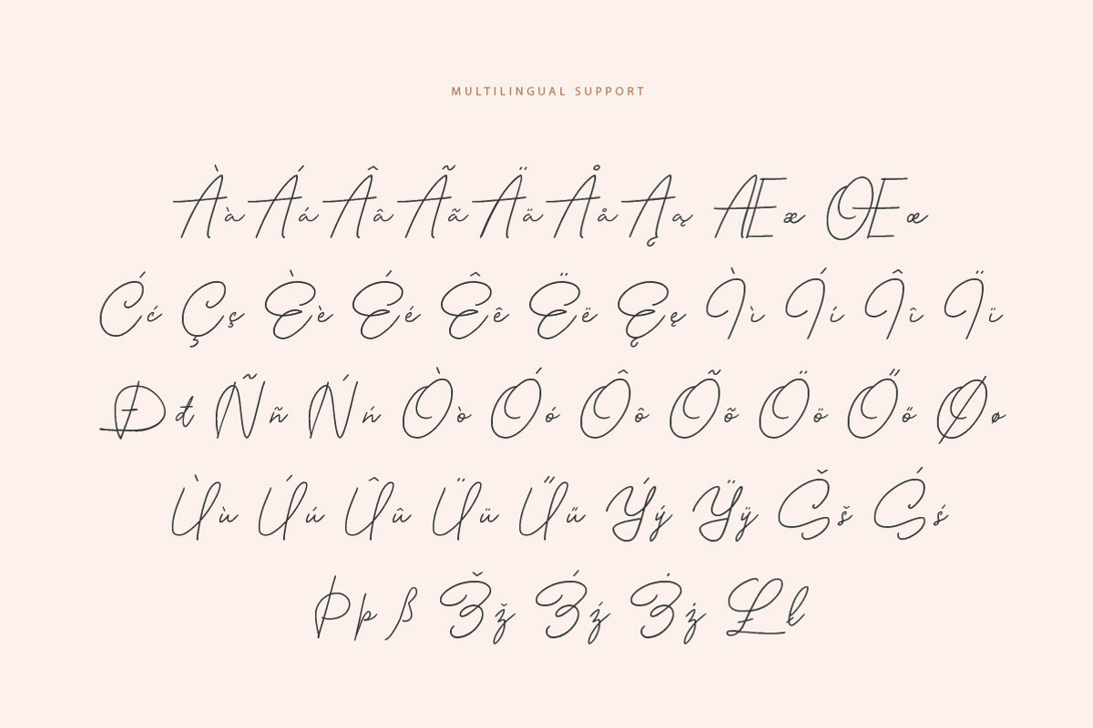 Bonita Melodia Script, a Script Font by Andrey Sharonov (Photo 13 of 13)