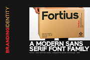 Fortius - Sans serif font family, a Sans Serif Font by Artistic & Unique (Thumbnail 13 of 15)