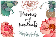 30% OFF - Peonies and succulents., a Decorative Illustration by Funny-sunny (Thumbnail 1 of 12)