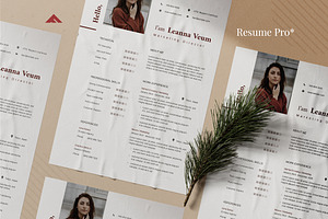 Marketing Resume Pro Template