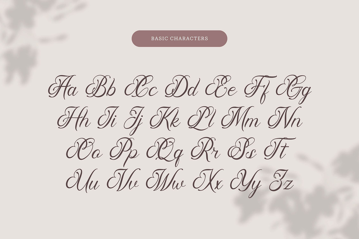 Pimfloth Bartauly | Beauty Script, a Script Font by Denustudios (Photo 10 of 13)