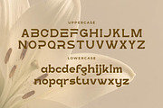 Lootta – Bold Rounded Display Font, a Serif Font by Artiveko (Thumbnail 2 of 8)