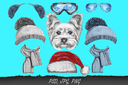 Yorkshire terrier / Wintertime, an Animal Illustration by Victoria_Novak (Thumbnail 2 of 3)