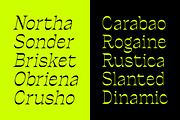 Ronders Reverse Contrast Font, a Serif Font by Genetype (Thumbnail 8 of 10)