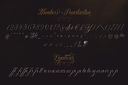 Chica Script Font, a Script Font by StockMamba (Thumbnail 11 of 17)