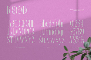 Broema Typeface