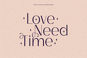 Bagina Serif, a Serif Font by 24Design Studios (Thumbnail 2 of 8)