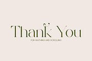 Megita - Beautiful Serif Font, a Serif Font by Aqeel_Art (Thumbnail 12 of 12)