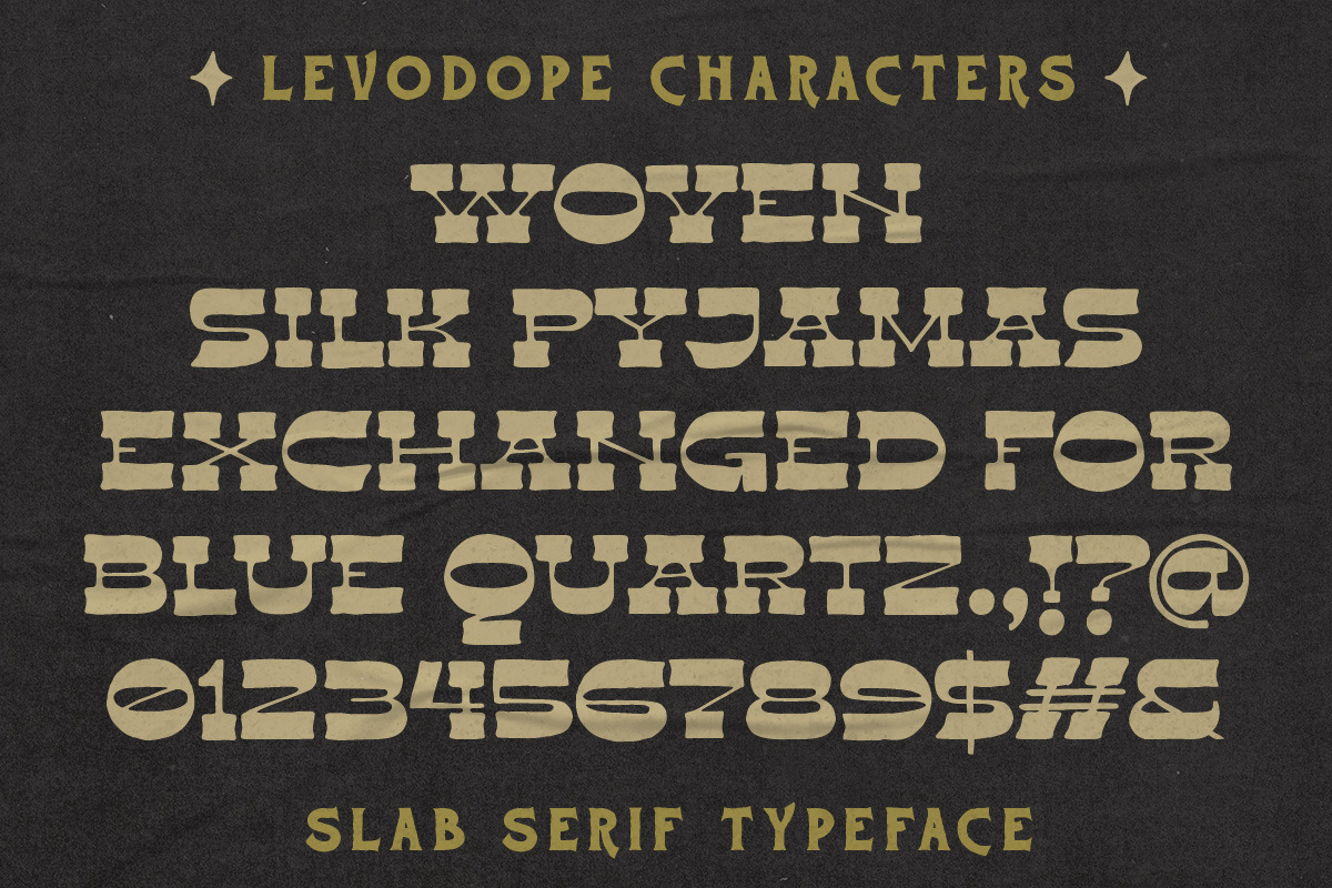 Levo Dope + Extras, a Slab Serif Font by Sitintahitam (Photo 3 of 10)