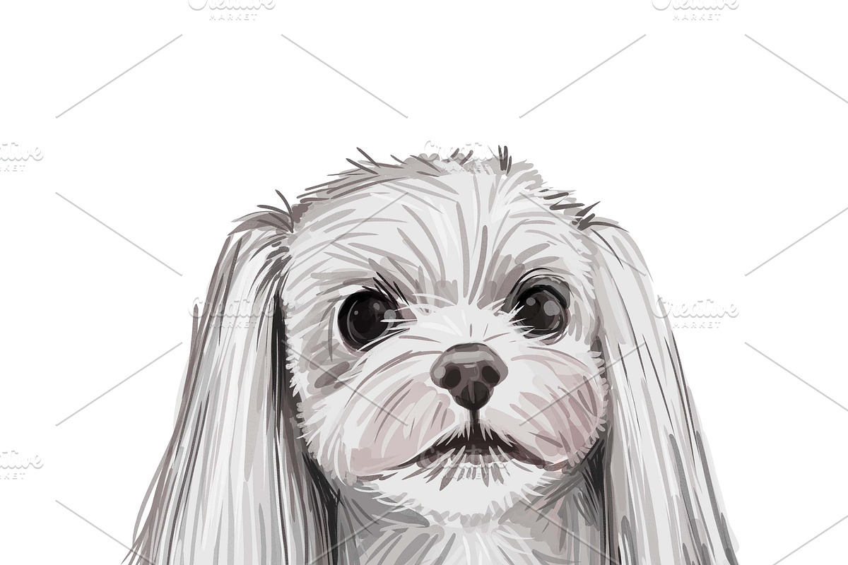 Dogs Cross Breeds 56 Animals Bundle, an Animal Illustration by Dneprstock (Photo 34 of 55)