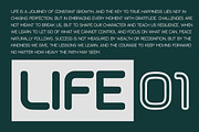 Flox, a Sans Serif Font by rulihoki studio (Thumbnail 2 of 4)