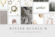 Winter Bundle 2, a Holiday Photo by Floral Deco (Thumbnail 1 of 7)