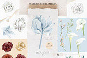 Watercolor winter Christmas floral, an Illustration by AnnaTkachi (Thumbnail 2 of 8)