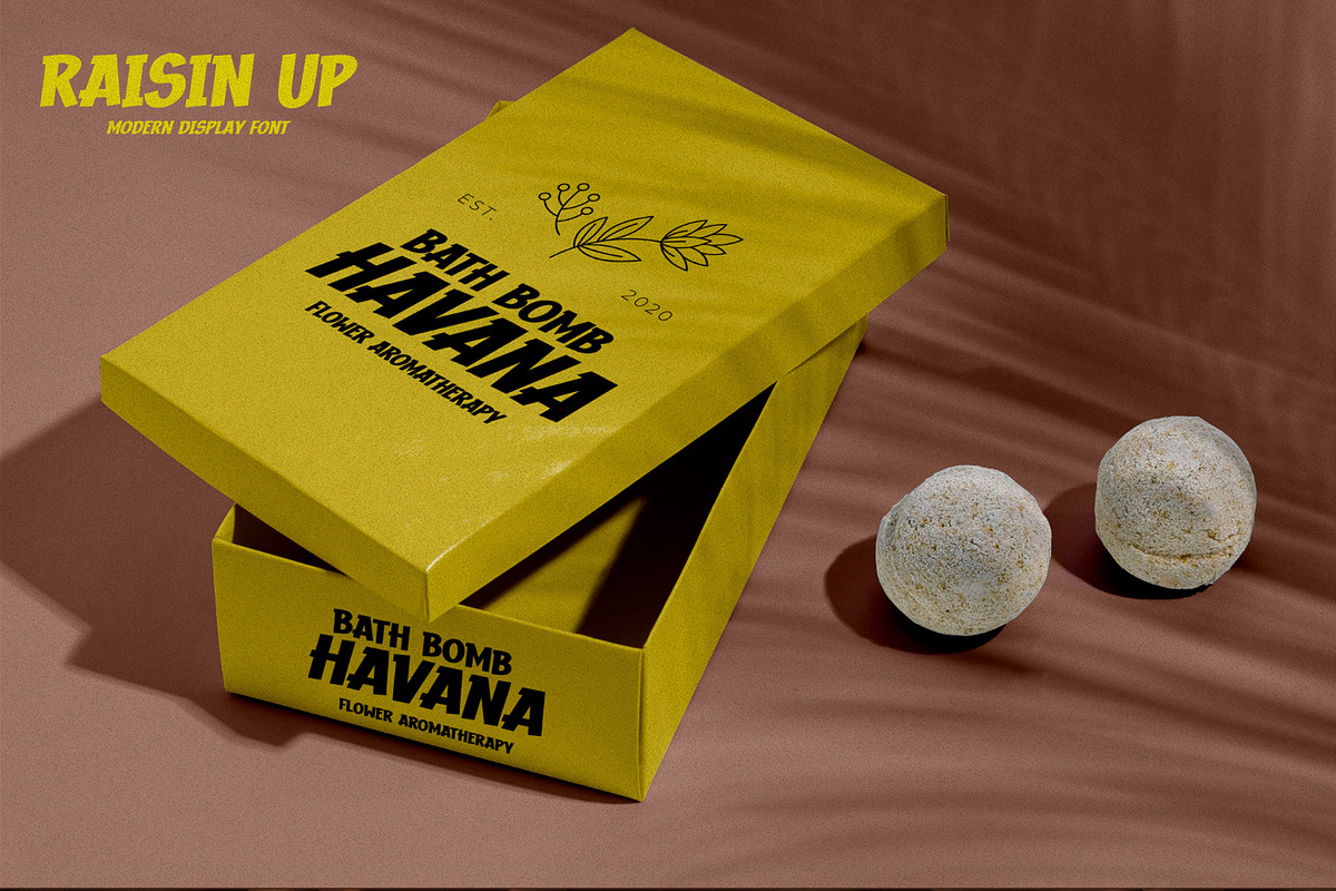 RAISIN UP - Modern Display Font, a Font by Gassstype (Photo 2 of 8)