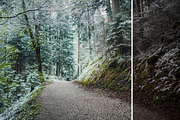 MILLION OF GREEN-Set of 20presets Lr, an Action Add-On by Graphics, Presets, Photos (Thumbnail 6 of 21)