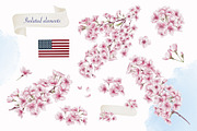 Cherry Blossoms clip art watercolor, an Illustration by Alena Sid (Thumbnail 2 of 16)