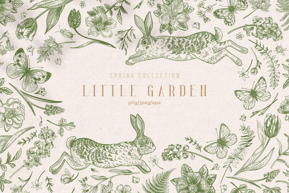 Little garden b&w, an Animal Illustration by Lisla (Photo 1 of 11)
