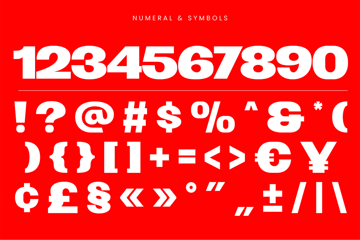 Veroja - Bold Expanded Display Font, a Sans Serif Font by Pekotype (Photo 4 of 15)
