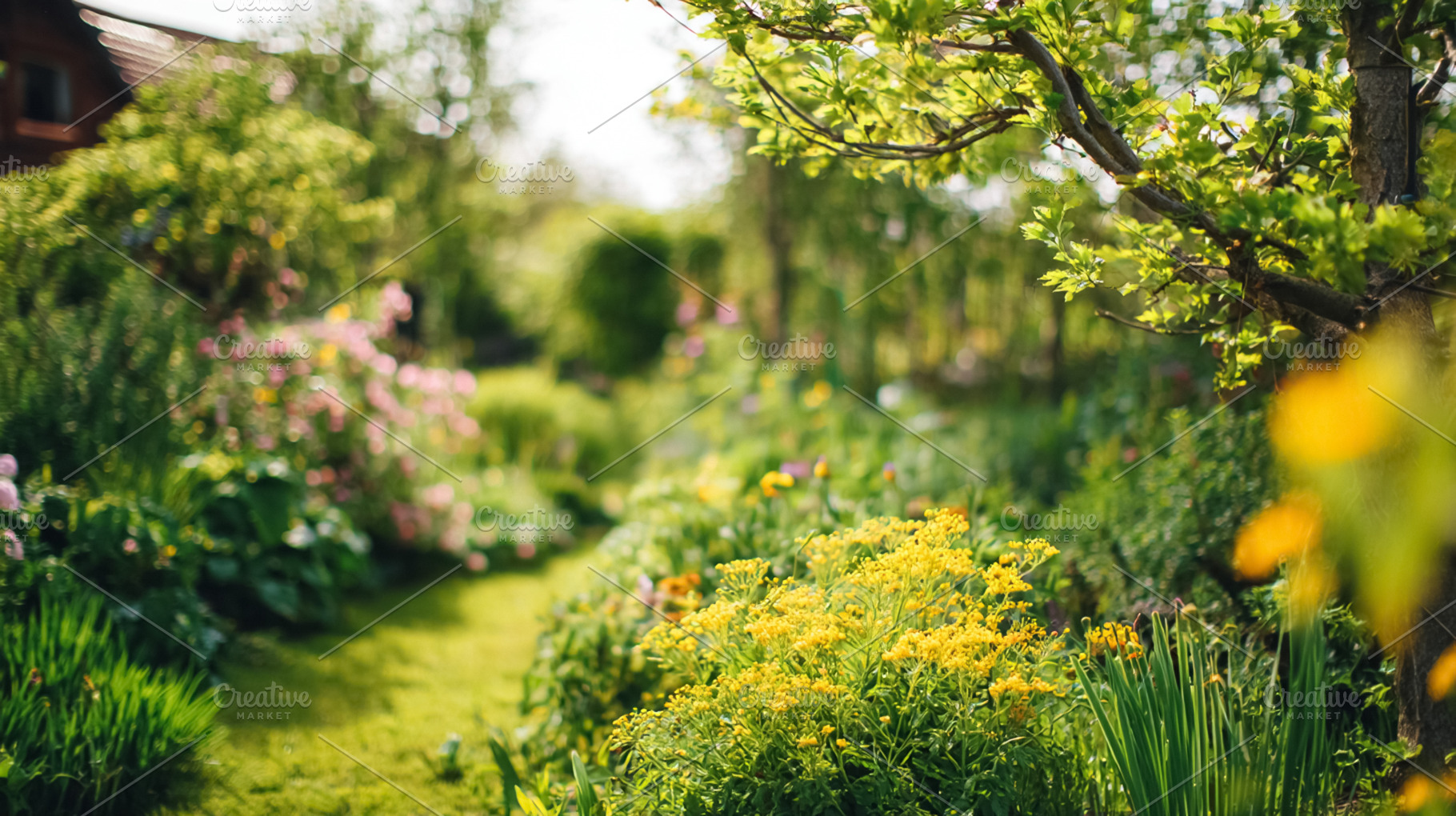 Lush summer garden with vibrant yellow flowers blooming along a, a Photo by Studio ANNA