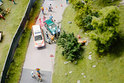 Life of the Miniatures 30 HQ Photos, an Arts & Entertainment Photo by Barn Images (Thumbnail 3 of 7)