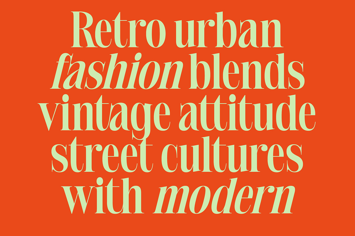 Delivery Feedback Modern Serif, a Serif Font by timelesstype.co (Photo 11 of 20)