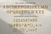 Revij Anovik - Decorative Serif Font, a Serif Font by StringLabs (Thumbnail 9 of 11)