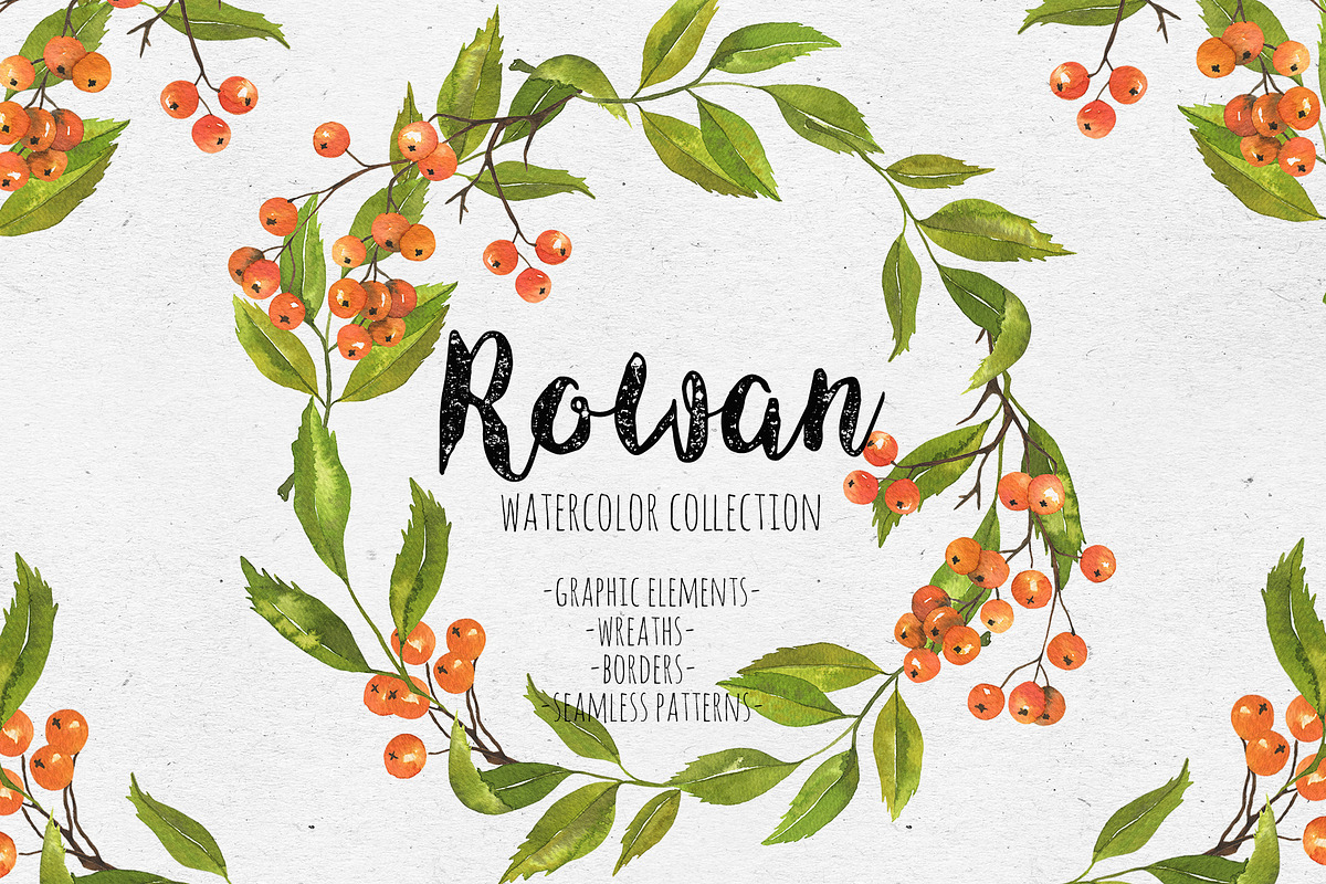 Rowan. Watercolor collection, a Decorative Illustration by Maria's little shop (Photo 1 of 8)