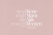 Losta Frida - Decorative family, a Sans Serif Font by creativemedialab (Thumbnail 5 of 20)