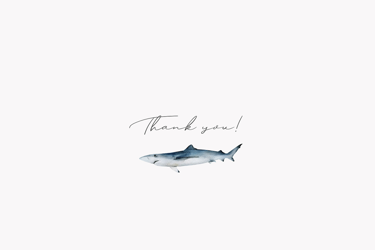 Watercolor Sharks. Ocean animals set, an Animal Illustration by Diana Askarova Art (Photo 9 of 9)