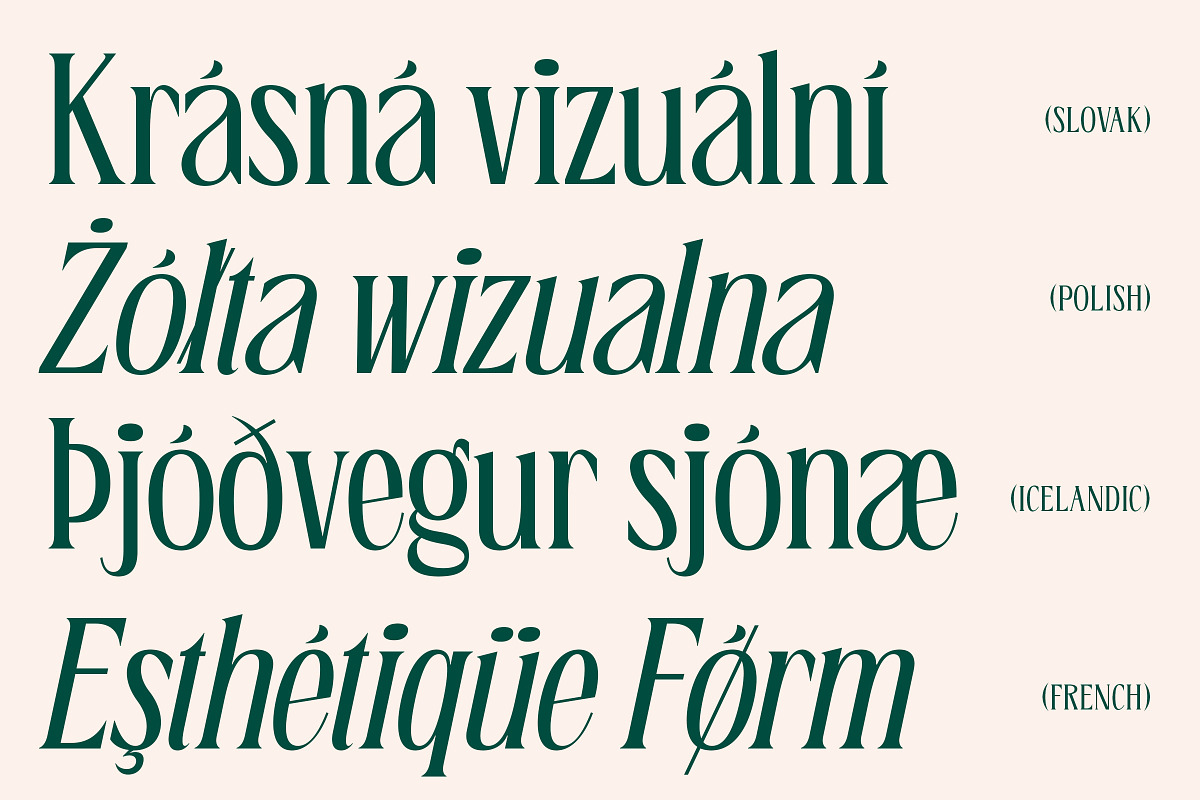 Bougene - Elegant Display Serif Font, a Serif Font by Sekyra Lab (Photo 4 of 11)