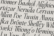 Aveline, Soft Serif with Ligatures, a Serif Font by CarmineType (Thumbnail 9 of 28)