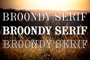 Broondy Serif Font Pack, a Serif Font by Arys Design (Thumbnail 3 of 4)