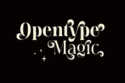 Meagre Display - 90s  Serif Family, a Serif Font by Holyline Design (Thumbnail 5 of 15)