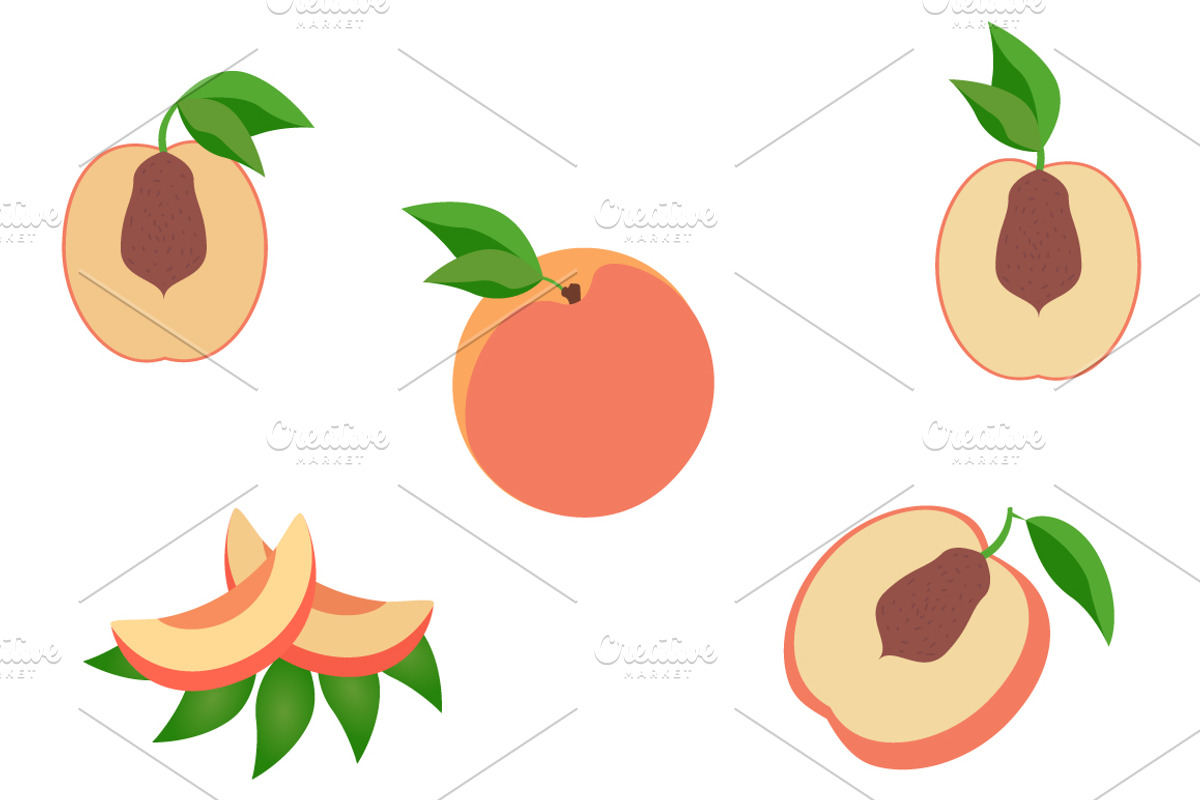 Fruits and vegetables (vector), an Object Graphic by pashigorov (Photo 2 of 8)