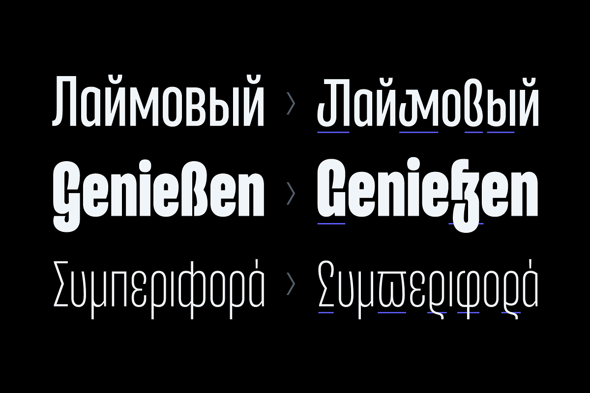 Entrofly — condensed font (Variable), a Sans Serif Font by Slava Antipov (Photo 9 of 14)