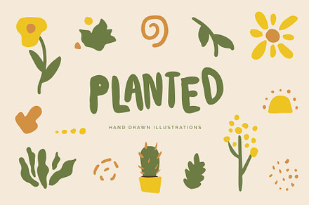 Planted Flower Sun Illustrations