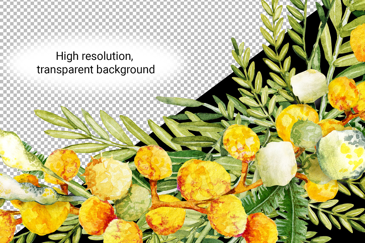 Spring mimosa, watercolor flowers, an Illustration by Artmanata (Photo 4 of 16)