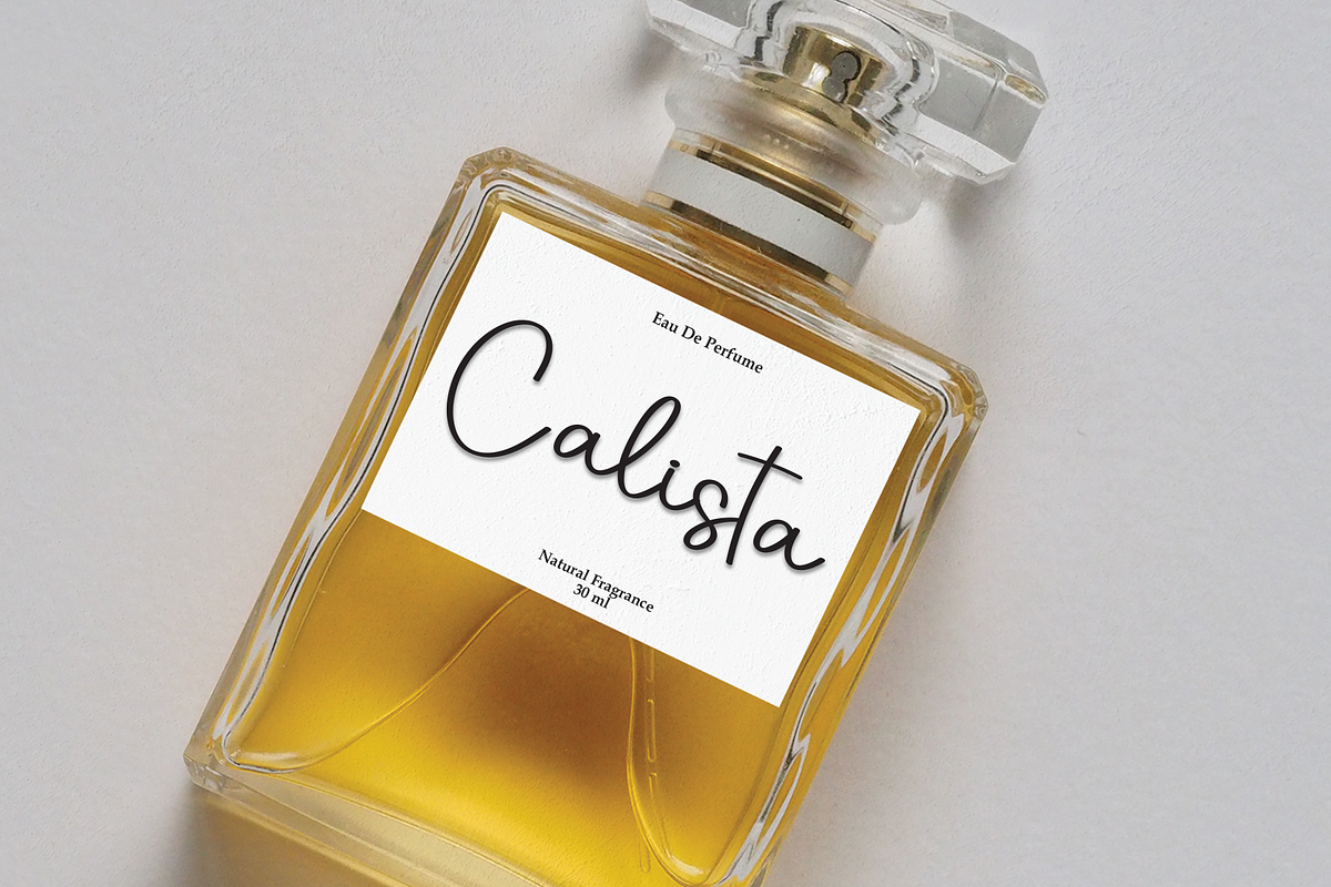 Delightful | Script Font, a Handwritten Font by Scratchones (Photo 5 of 7)
