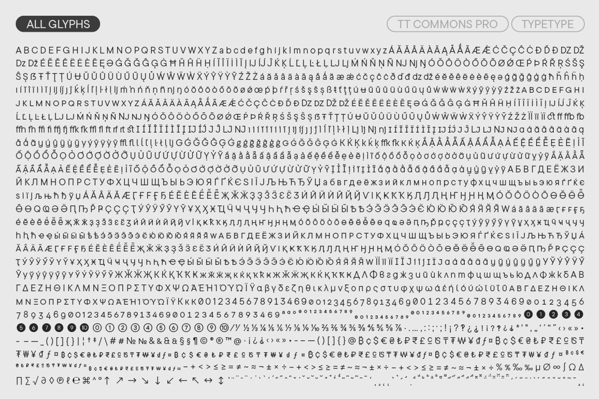 TT Commons Pro Basic, a Sans Serif Font by TypeType (Photo 10 of 15)