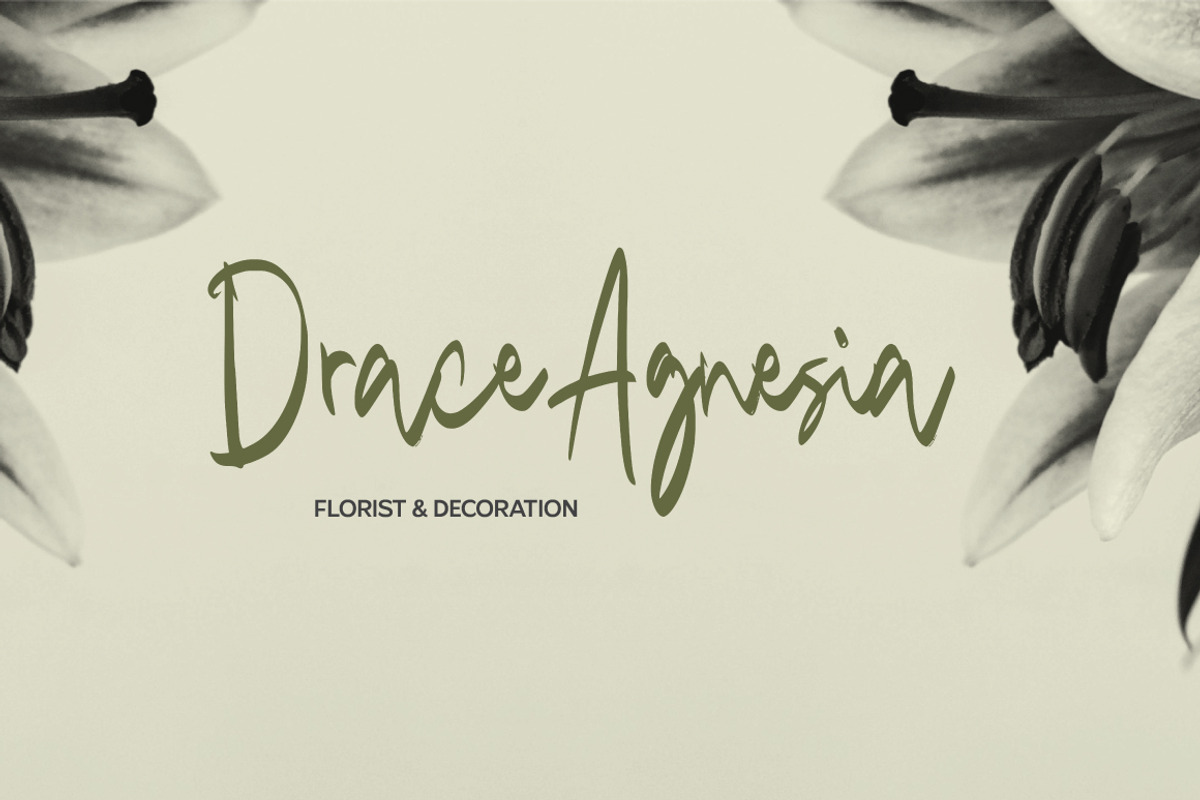 Mango Driver - Signature Brush, a Handwritten Font by tebaltipislab (Photo 8 of 10)