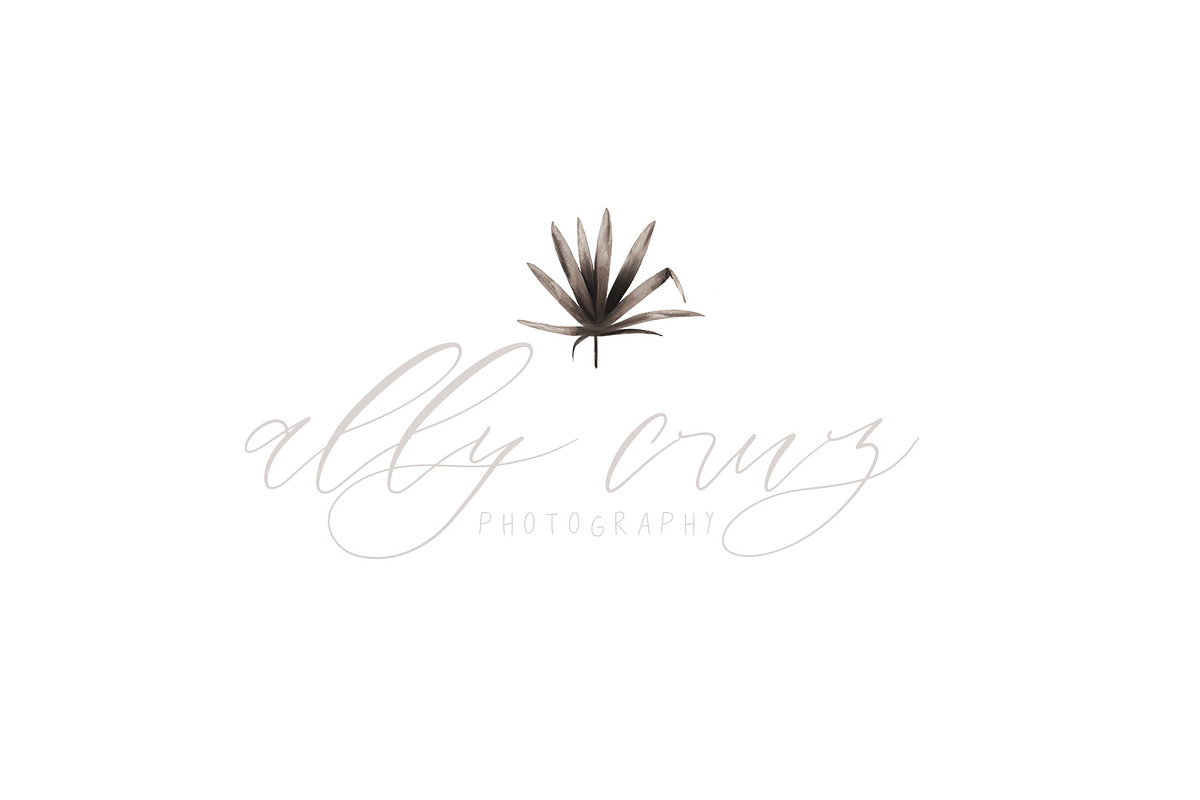Hawaii | Aloha Collection, an Illustration by The Besotted Co (Photo 5 of 6)