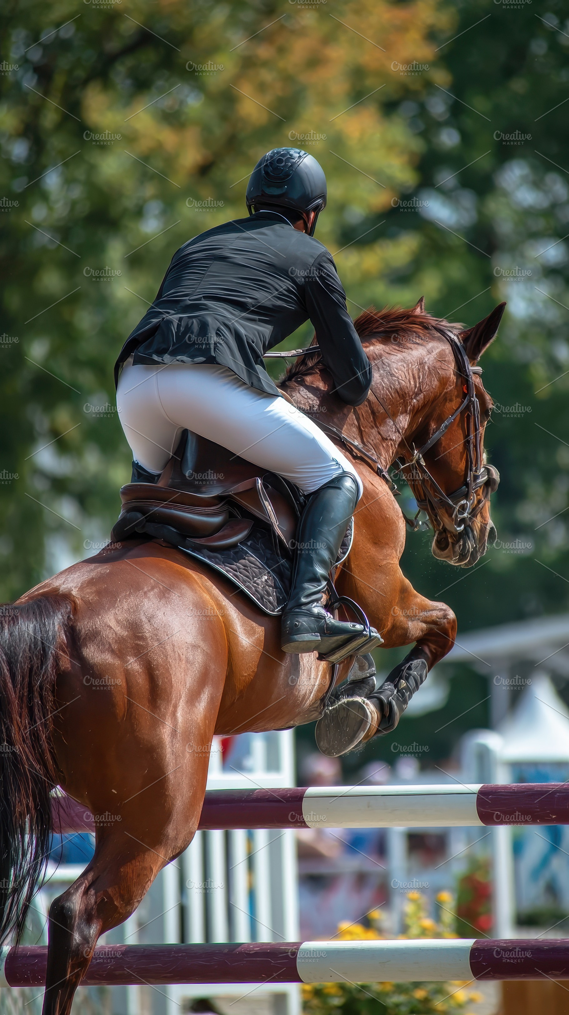 Equestrian Show Jumper Horse and Rid, a Photo by Pixeness Studio