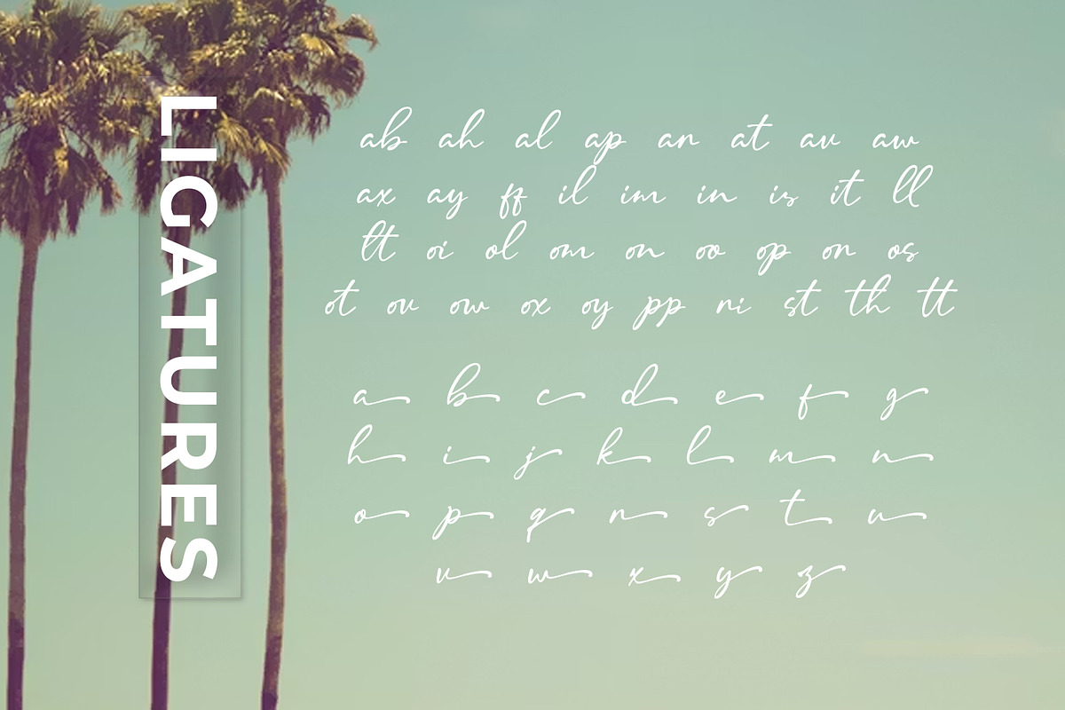 Malline Script, a Script Font by khurasan (Photo 7 of 9)