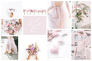 Aesthetic Pastel Styled Stock Photos, a Background Photo by Floral Deco (Thumbnail 30 of 39)