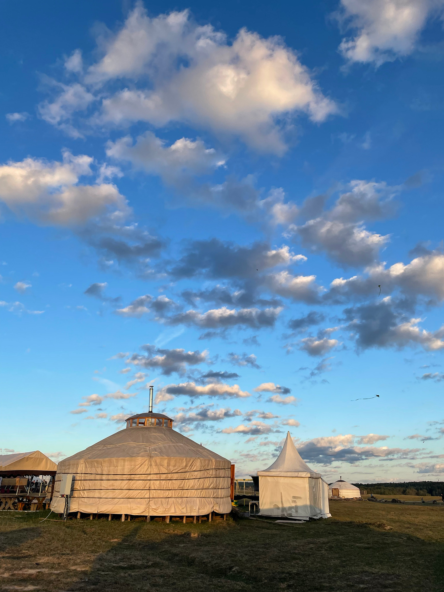 Mongolian yurt in summer field, a Photo by Olgait