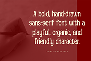 Pamelo - Bold Sans Serif Font, a Sans Serif Font by Pekotype (Thumbnail 11 of 15)