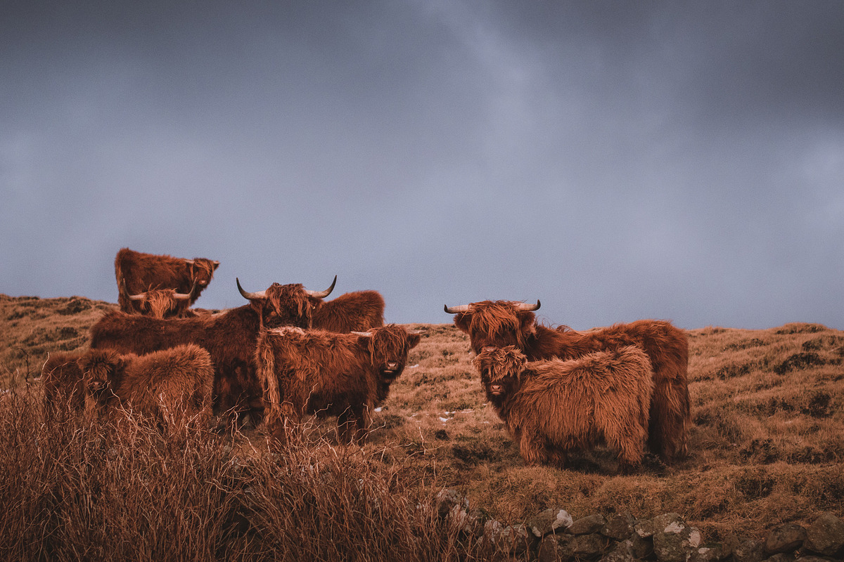 Dark & Moody Lightroom Presets, an Action Add-On by PhotoMarket (Photo 46 of 65)