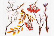 Watercolor Russian Birds, an Animal Illustration by Anna Faun (Thumbnail 4 of 4)