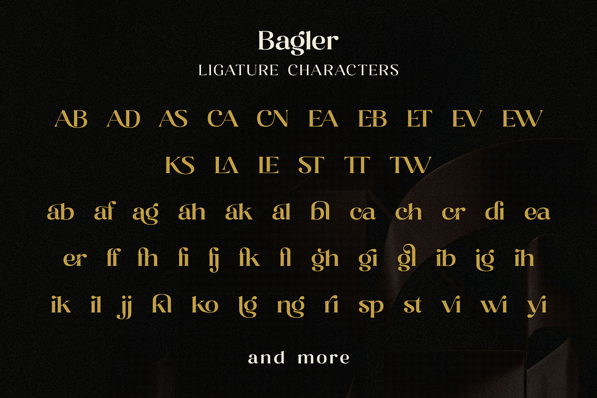 Bagler - Ornamental Display Font, a Serif Font by Ekahermawan (Photo 12 of 13)