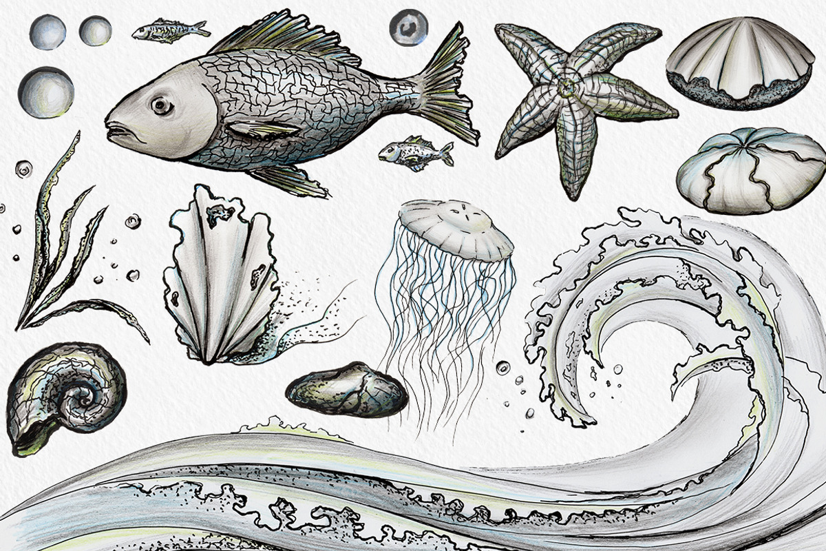 Sea Life - Ink & pencil pack, an Illustration by Watercolor Nomads (Photo 2 of 2)